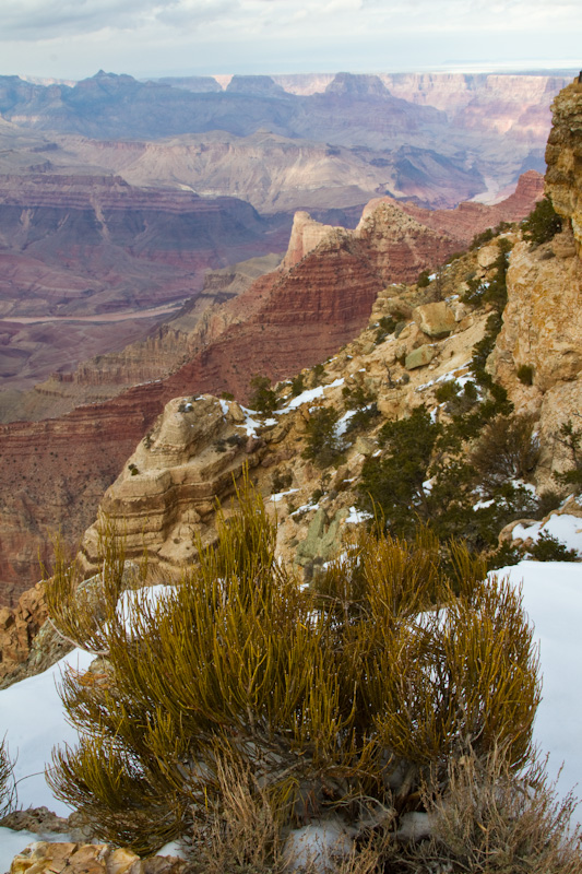 The Grand Canyon